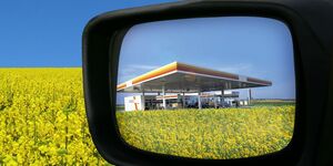 Gute Perspektiven fr Biodiesel