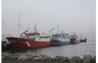 Report Reportage Irland Fischtransport
